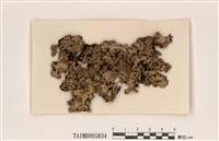 藏品(雞冠裸緣梅衣)的圖片